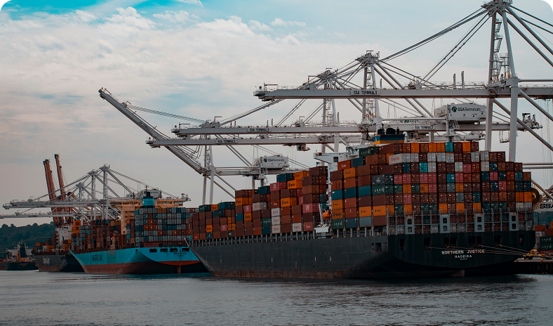 Import Payments