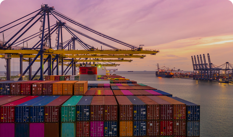 Import Payments